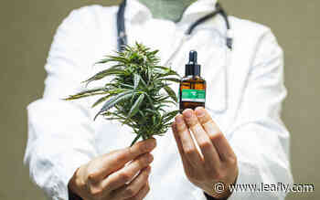 How to Find a Medical Marijuana Doctor - Leafly
