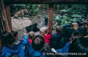Chester Zoo giving away 42,000 free tickets to schoolchildren