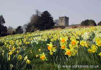 Celebrate the return of spring