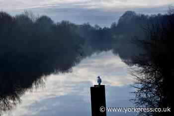 Anglers warning over river pollution in York