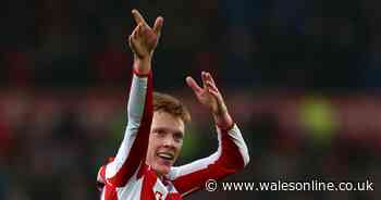 Stoke City star Sam Clucas reveals sickening online abuse he's received after Swansea City clash