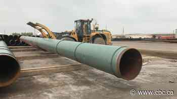 Sask. government forms committee of cabinet ministers to study pipelines