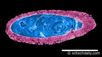 Australian Meteor Crater Is the Oldest Known According to NASA Analysis