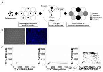 New Single-Cell Prenatal DNA Blood Test Can Identify Genetic Abnormalities