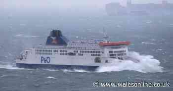 Met Office warning of 80mph winds and heavy rain for Wales v Ireland rugby fans