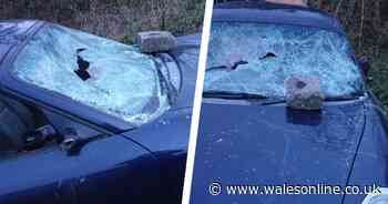 Vandals smash up family's Porsche Boxster with breeze block