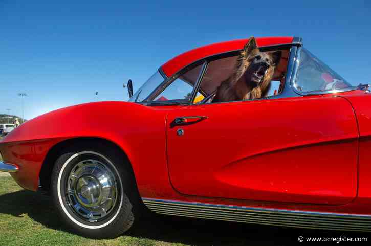Car enthusiast help San Juan Capistrano Rotary Club by enjoying its 17th annual car show