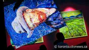 Toronto is getting an 'Immersive Van Gogh' exhibit - CTV News
