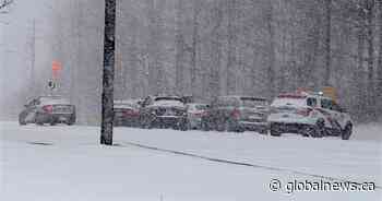 Suspect wanted for murder, shot by Toronto officers during ‘interaction’ dies of injuries: SIU - Global News