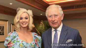 Katy Perry appointed British Asian Trust ambassador by Prince of Wales