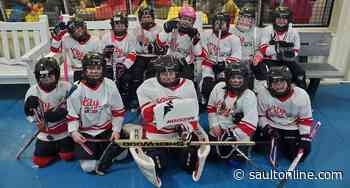 Atikokan and Sault Ringette Come Together for the Love of the Game