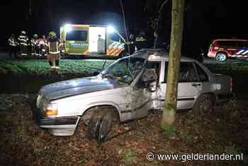 Automobiliste gewond door botsing met boom bij Duiven