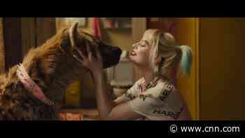 Margot Robbie and the 'Birds of Prey'