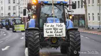 Sie sorgen für Essen: Deutsche Landwirte verdienen „alarmierend“ wenig - BILD