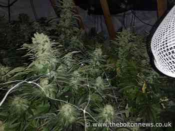 Police find hidden cannabis farm in loft of Tonge Moor house