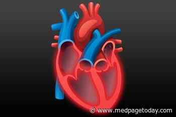 Cardiac Echo Tracks Checkpoint Inhibitor Damage