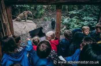 Chester Zoo giving away 42000 free tickets to schoolchildren - St Helens Star