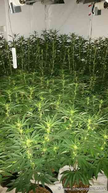 Cannabis farm uncovered at address on Evans Street, Prescot - St Helens Star