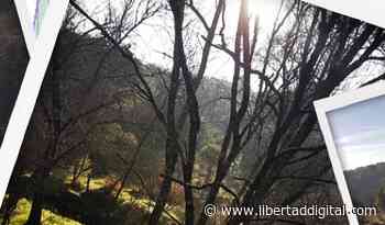 Iglesias y Montero querían comprar una finca de una hectárea en una lujosa urbanización de Galapagar - Libertad Digital