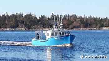 Amid lobster export boom, lending by Nova Scotia fisheries board soars