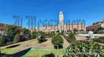 L'erba in piazza del Popolo è gialla, il Comune la tinge di verde - Il Messaggero