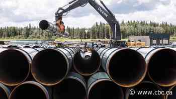 What the Trans Mountain decision means for Alberta's oilpatch