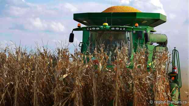 Sask. farmers to lose 12 per cent of net income to carbon tax: APAS