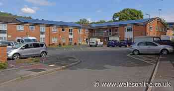 Grandfather broke neck in fall while four and a half times the drink-drive limit