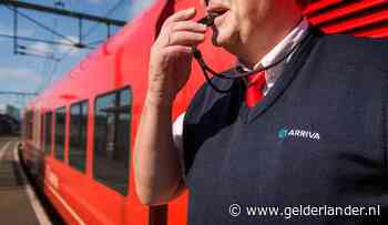 Veroordeelde stalker ‘weer lastpak’ in Nijmegen en Zutphen: ‘Ik sla je kankermoeder kapot’