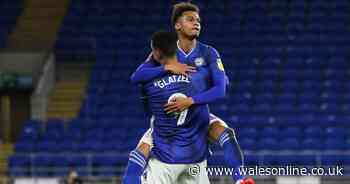 Celtic's transfer bid for £11m Cardiff City man as Neil Harris makes claim over winger