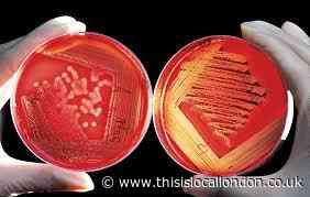 No new cases of Group Strep A in Essex following 2019 outbreak