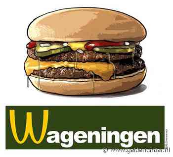 Roos en Sveva willen een McDonald’s in Wageningen, de enige universiteitsstad zonder fastfoodketen