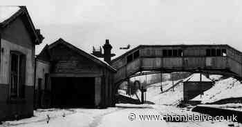 The once-thriving North East railway station that was left deserted and desolate