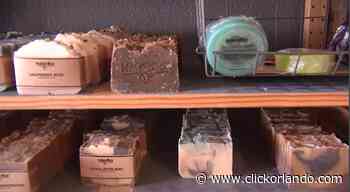 Keeping it natural: Orlando mom becomes entrepreneur after son’s skin condition - WKMG News 6 & ClickOrlando