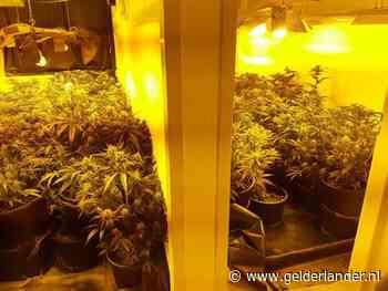 Hennepkwekerij ontdekt in woning in Nijmeegse wijk Meijhorst