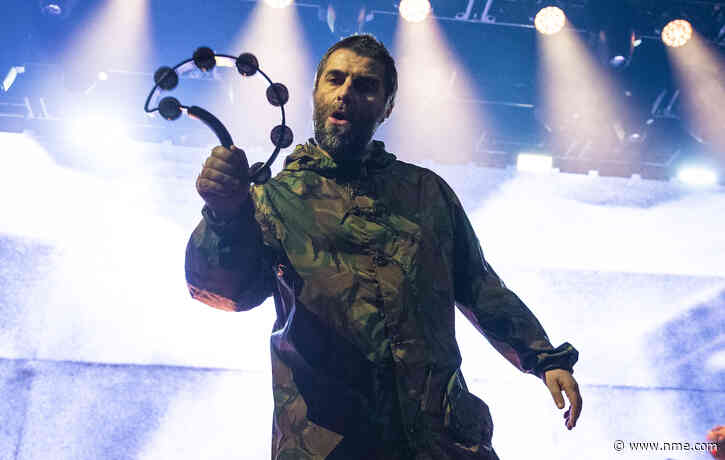 Liam Gallagher pulls Hamburg show after four songs due to vocal problem