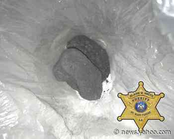 'Grey death': Louisiana police say powerful opiod can kill on contact