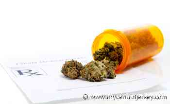 State OKs medical marijuana farm in Readington at former Walmart site - My Central Jersey