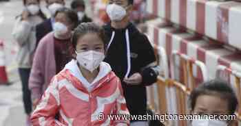 Rumors, counterfeiting, and attacks on medical staff: China's Xi Jinping scrambles to discipline coronavirus response - Washington Examiner