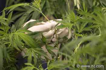 Medical marijuana facility may be replacing an N.J. airport. Not everyone is on board. - NJ.com