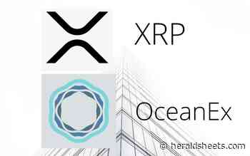 Ripple XRP against Tether (USDT) Perpetual Contract Trading Goes Live on OceanEx - Herald Sheets