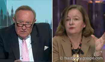 Andrew Neil leaves Macron ally furious over BRUTAL Brexit mauling 'You're PM's spokesman!'