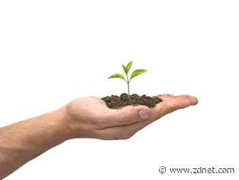 SEA unicorns creating new wave of entrepreneurs, startup capital