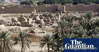 Scientists in Israel grow date plants from 2,000-year-old seeds