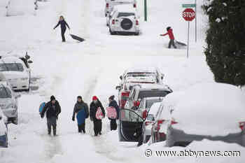 ‘Significant’ snow expected to pummel Lower Mainland - Abbotsford News