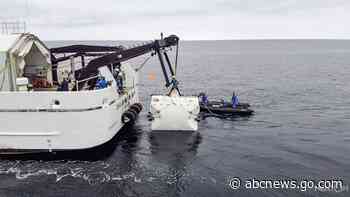 Scientists dive into 'Midnight Zone' to study dark ocean