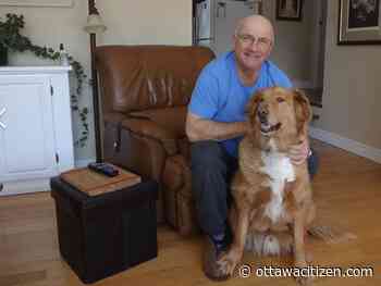 Landlord arrested in Val-des-Monts killings of couple - Ottawa Citizen