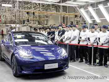 Tesla mania cools, pushing shares lower for likely snap to six-day rally