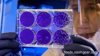 Coronavirus test gets emergency approval by US FDA