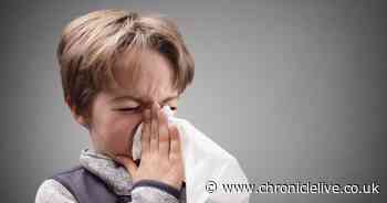 Got a sick child? NHS reveals the illnesses children can go to school with - and those they can't